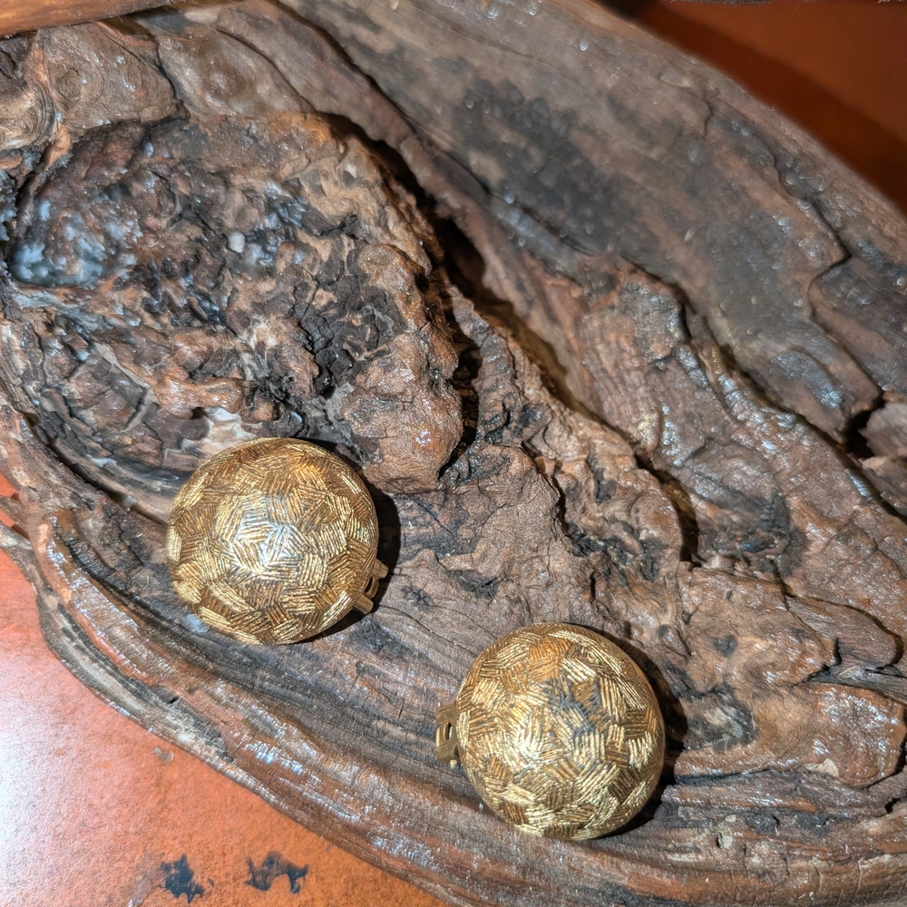 Dior Gold Textured Earrings